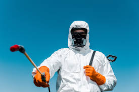 Best Termite Inspection and Treatment  in Berkeley Lake, GA